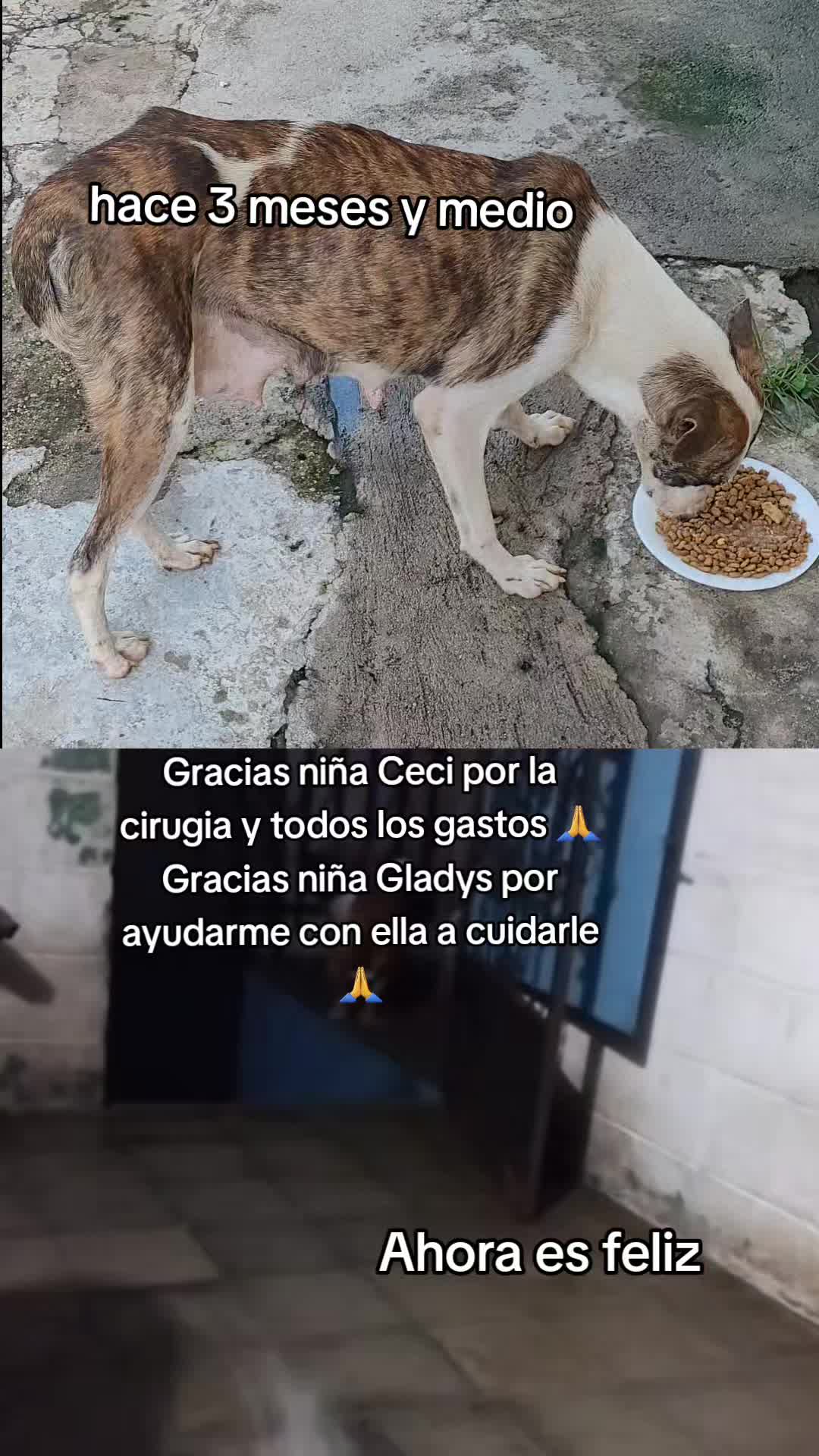 @𝕃𝕚𝕤𝕤 ℝ𝕖yes🇸🇻