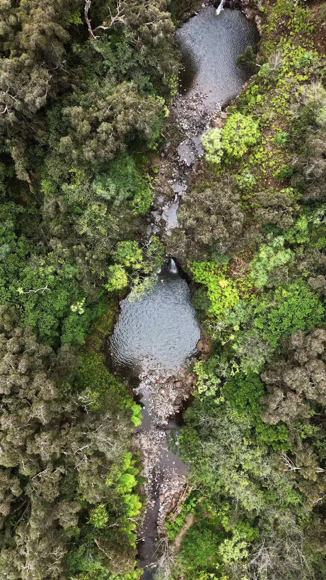@Hike Maui