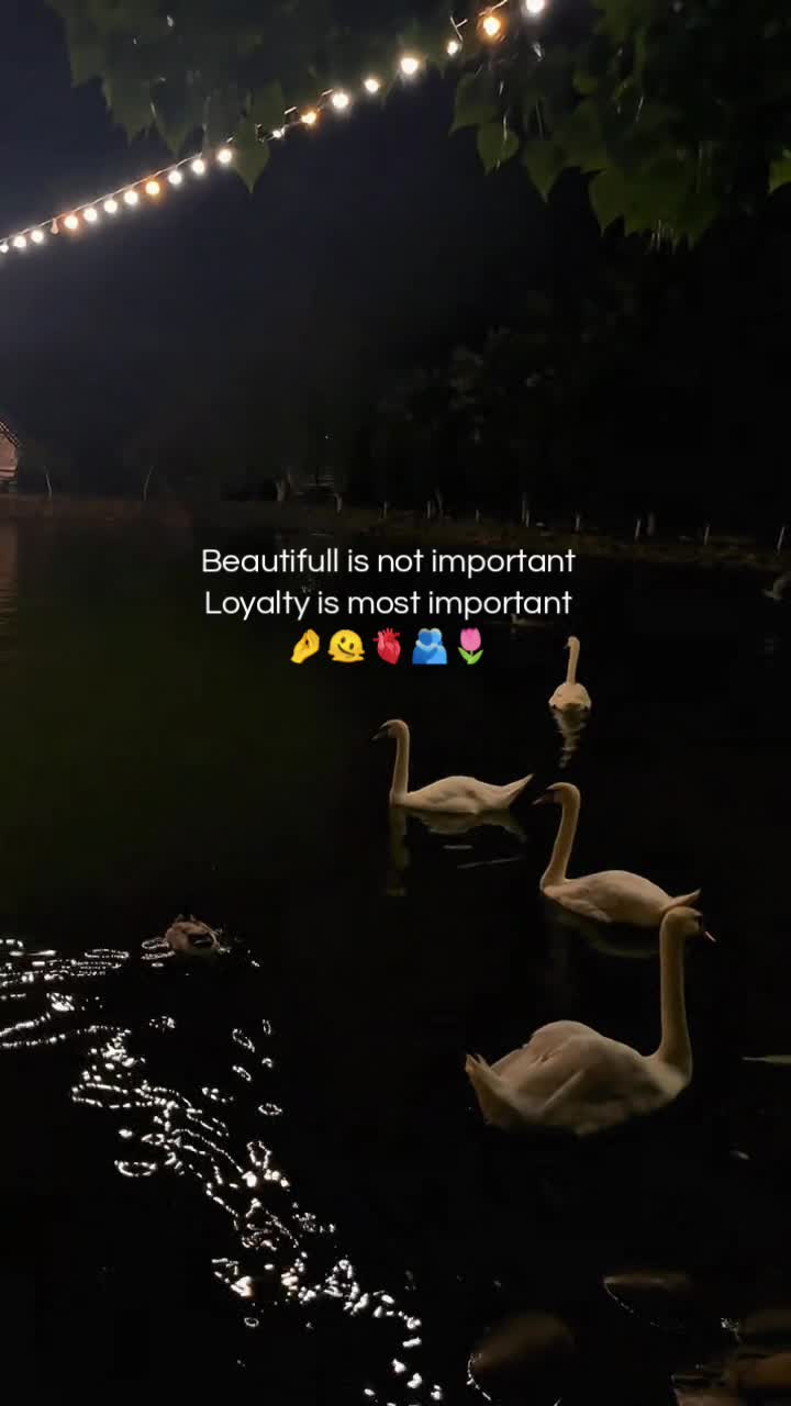 @๐•๐๐จ๐ฏ๐๐๐ข๐๐•๐