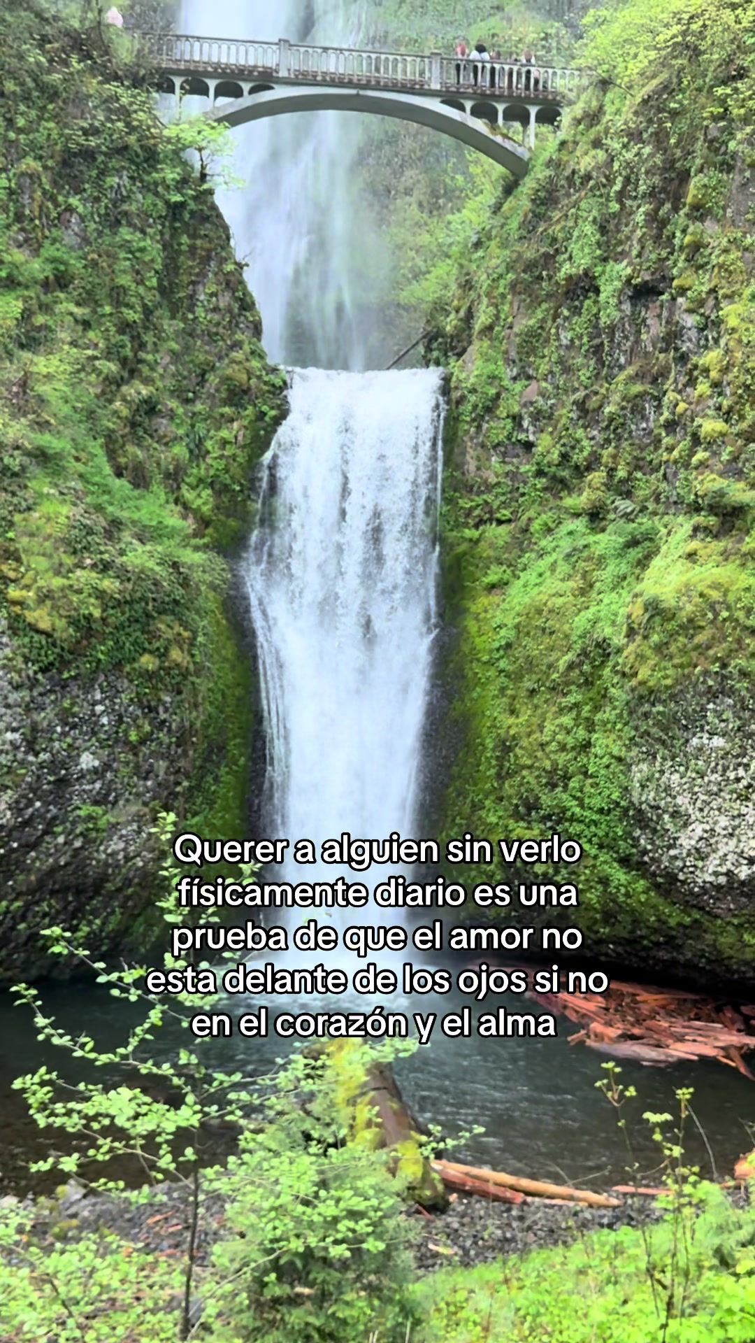 @яσχαηα кαυℓιтz 💮