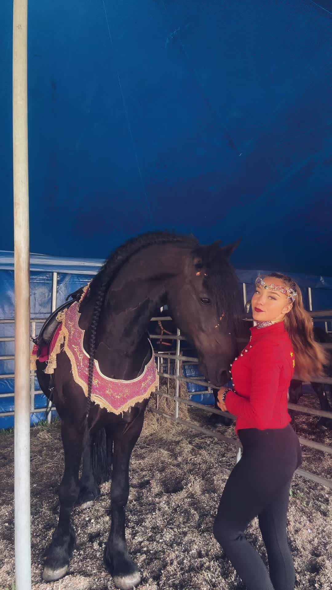 @Horses