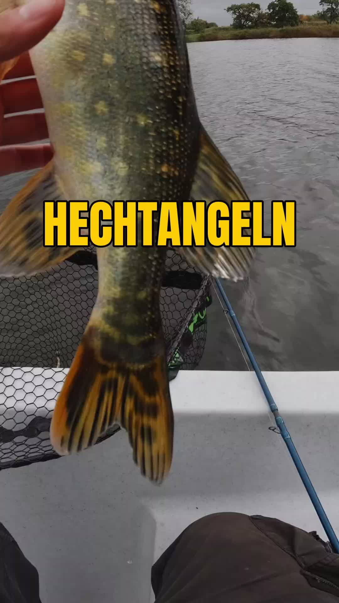 @Fischbulette