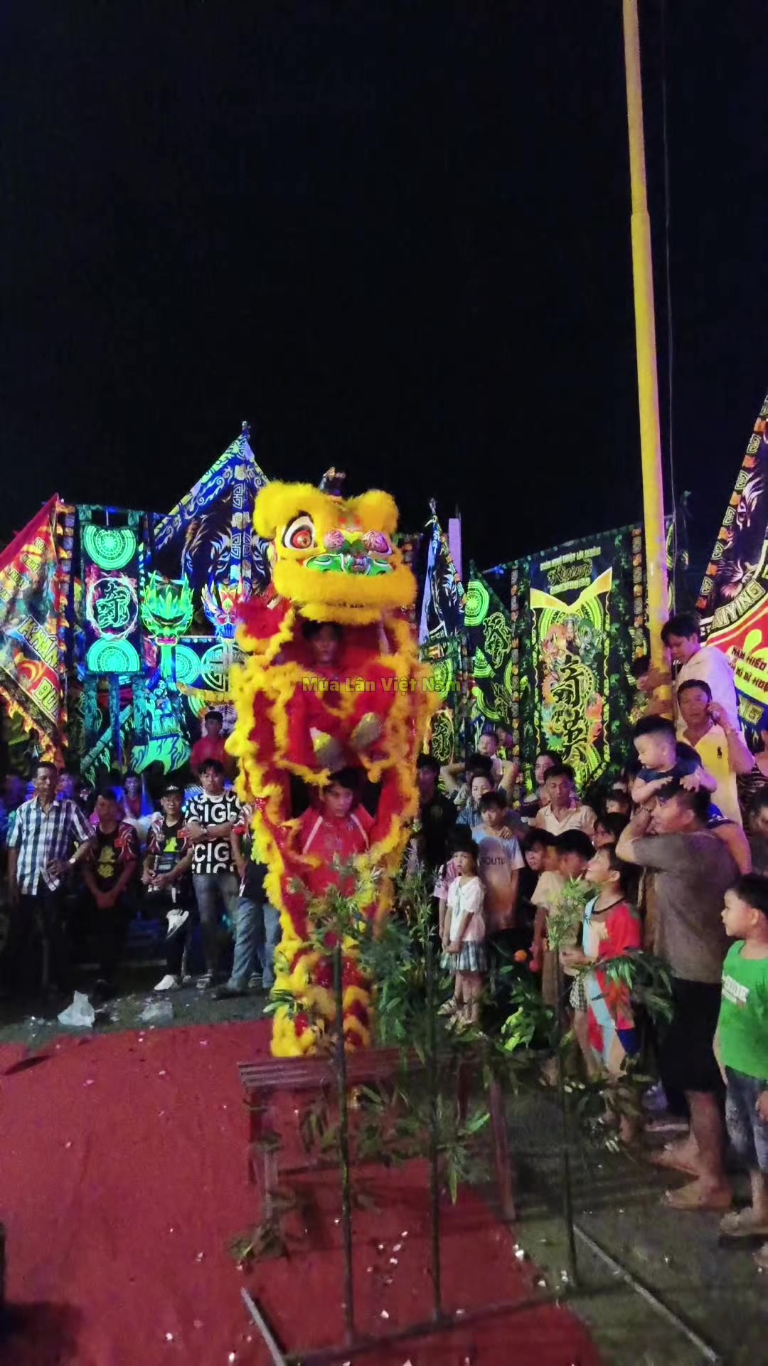 @M&uacute;a L&acirc;n Việt Nam 🇻🇳