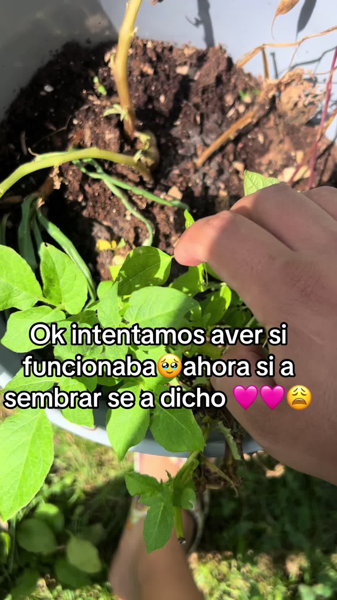 @🧿Mayii-La Mec-xicana🇲🇽