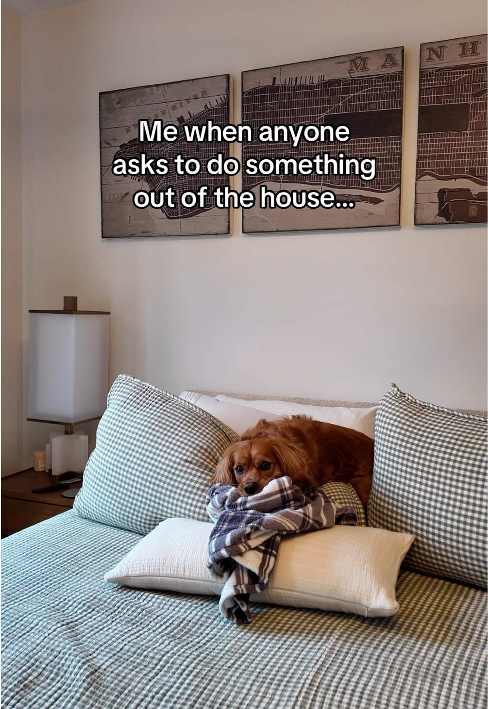 @joeythegoldencavalier