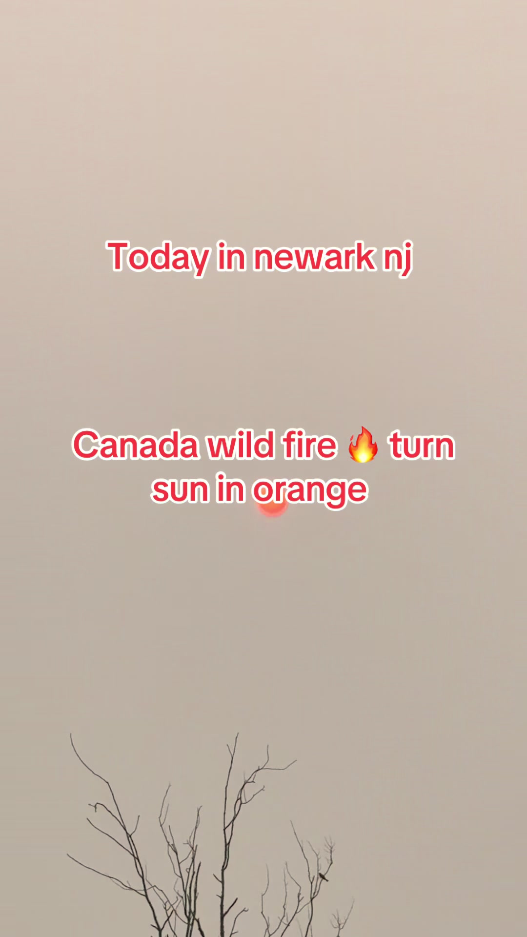 @Syeda❤️🇵🇰🇺🇸