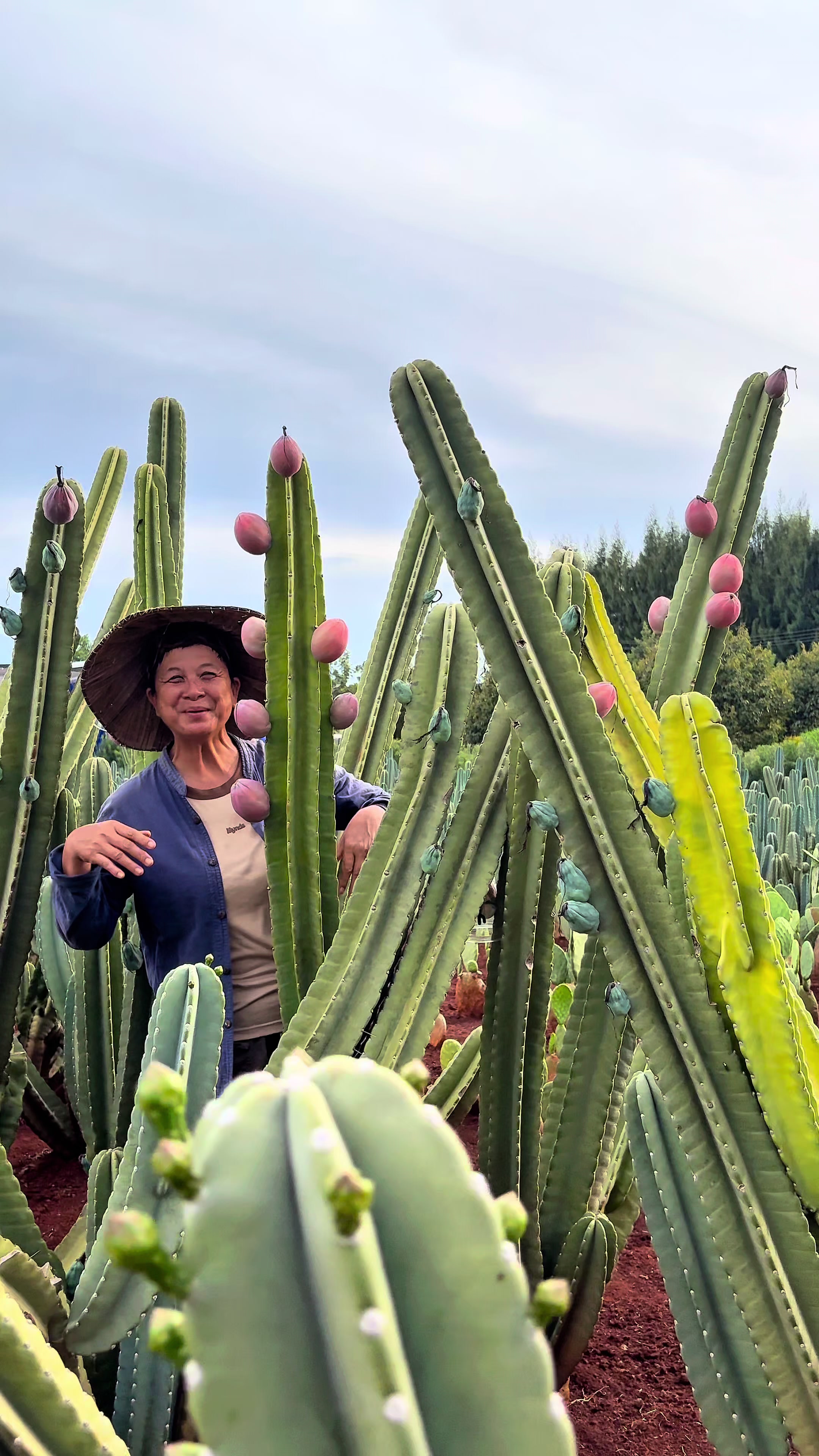 @ไร่วันยังขำ Oneyoungkham farm