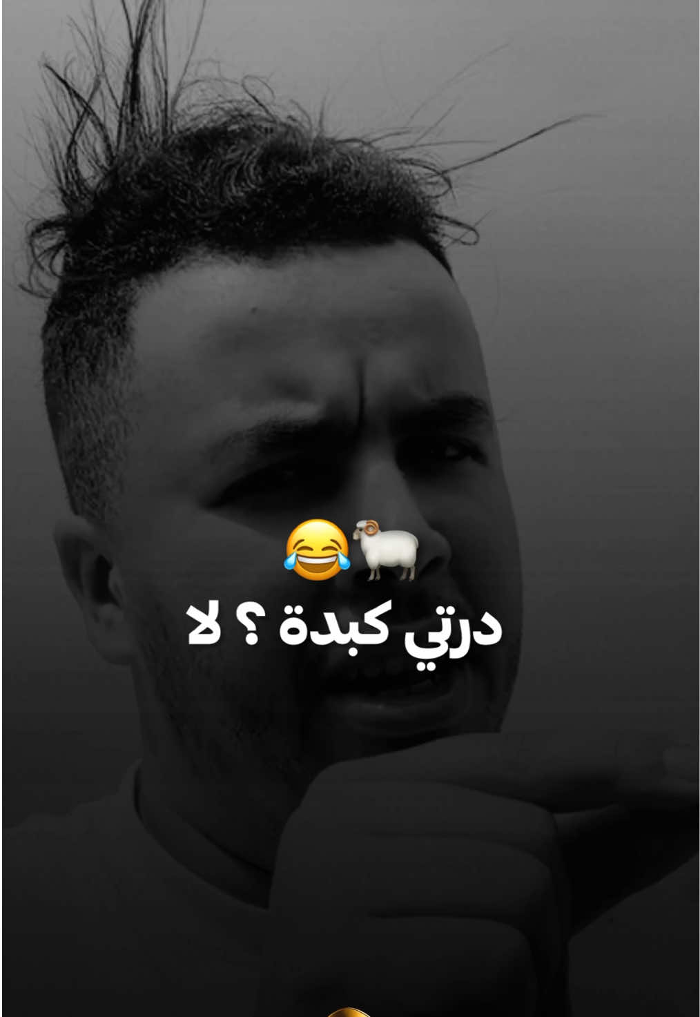@⚜️ AneSound 2 ⚜️