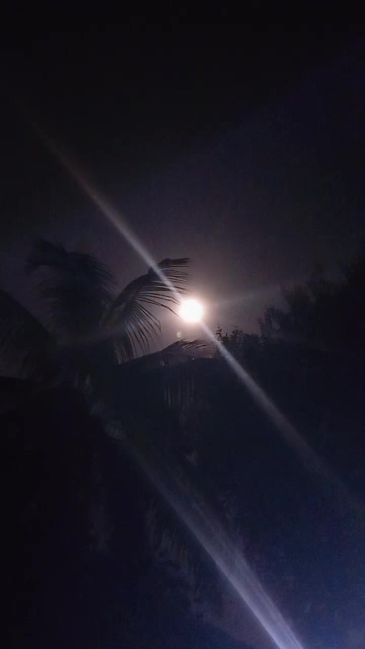 @đŖī¸: āĻĒāĻŋāĻā§āĻāĻŋ āĻšā§āĻā§āϰāύā§đ§