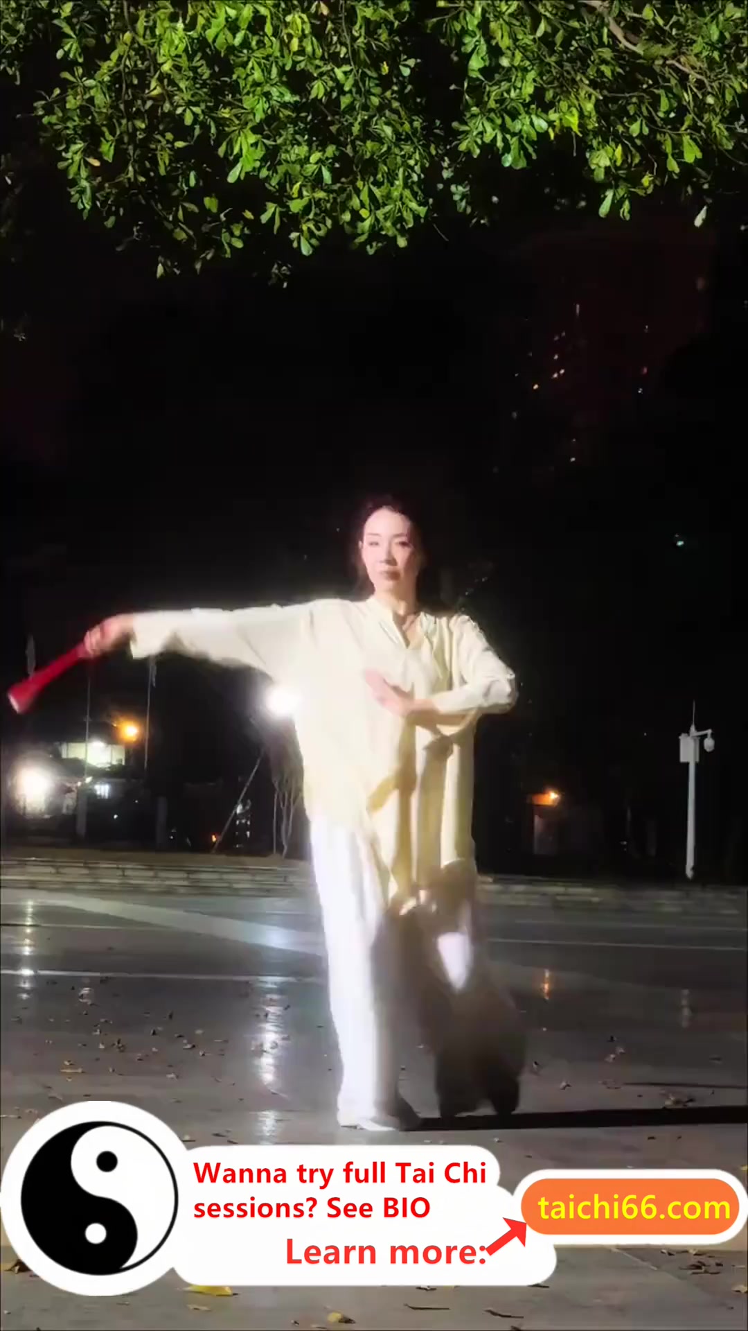 @HuaKai Taichi