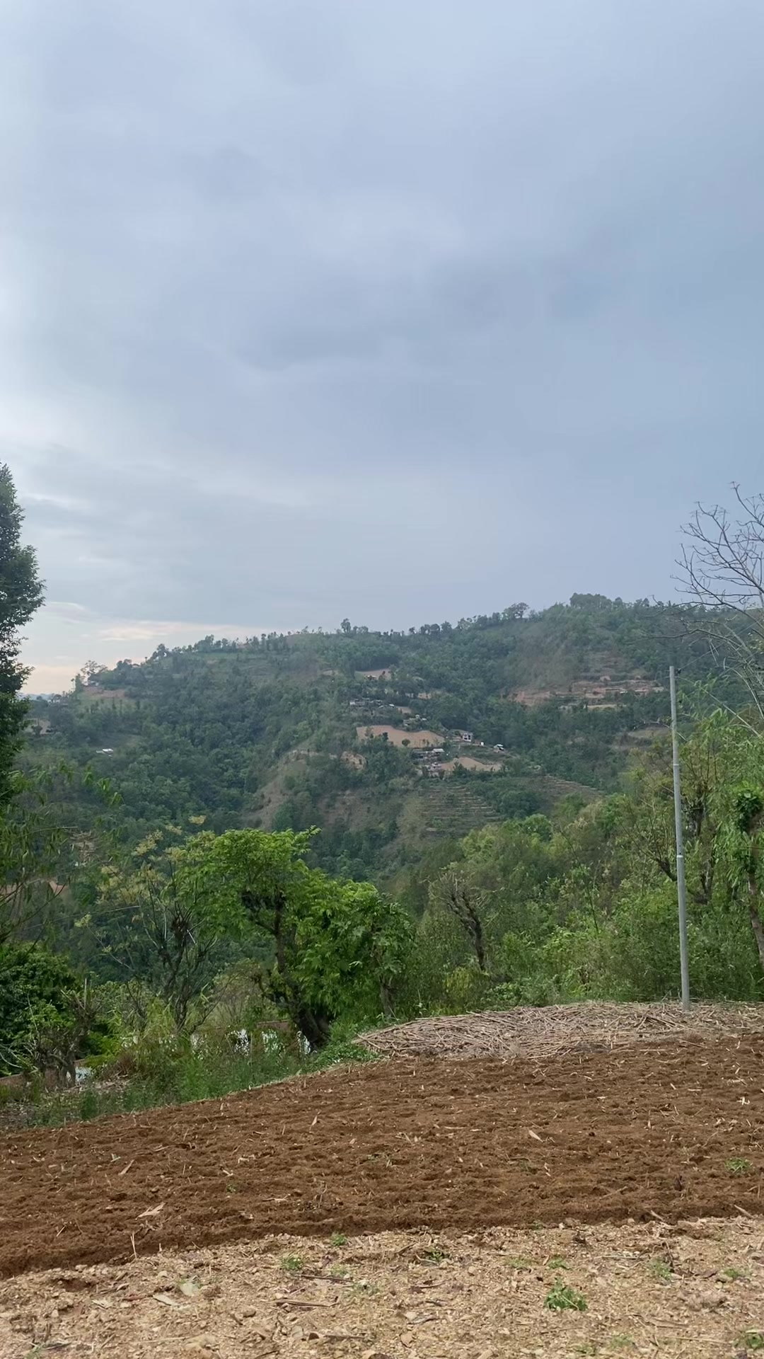 @थानेश्वर ज्ञवाली
