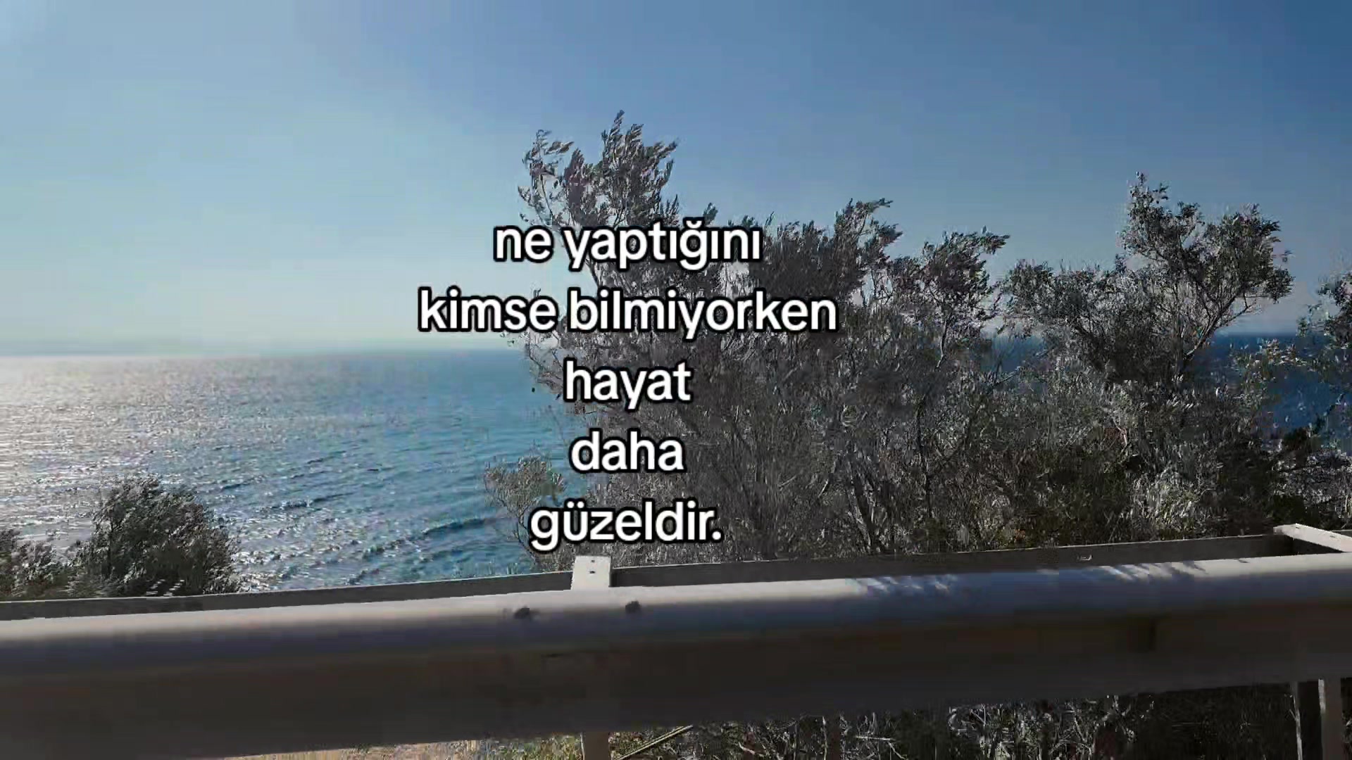 @pt.aycaatilgan