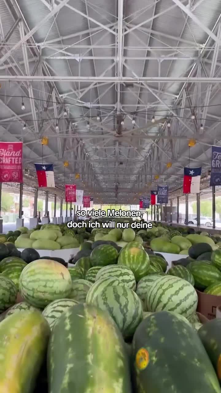 @insta txlmxr