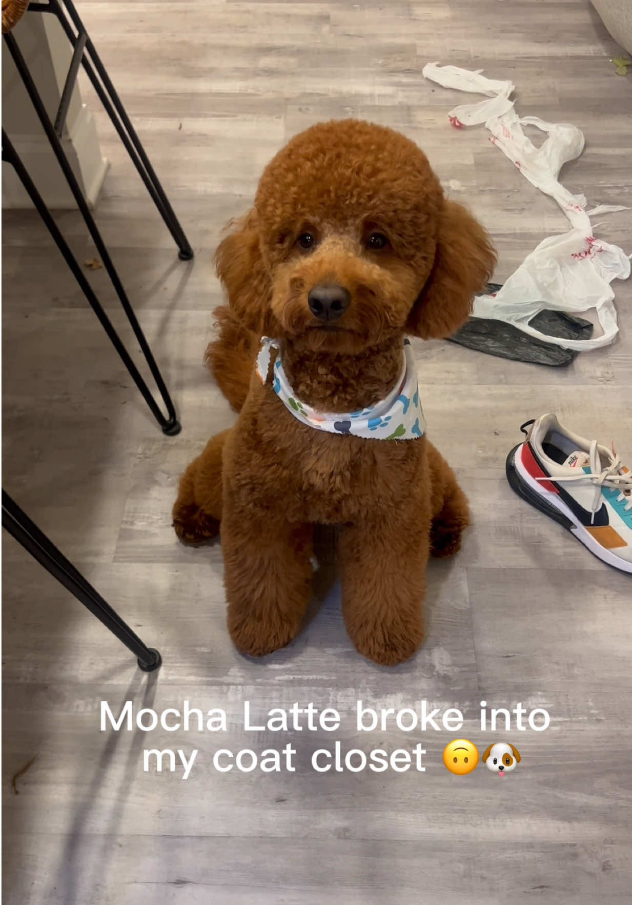 @LA Shay & Mocha Latte 🤞🏾