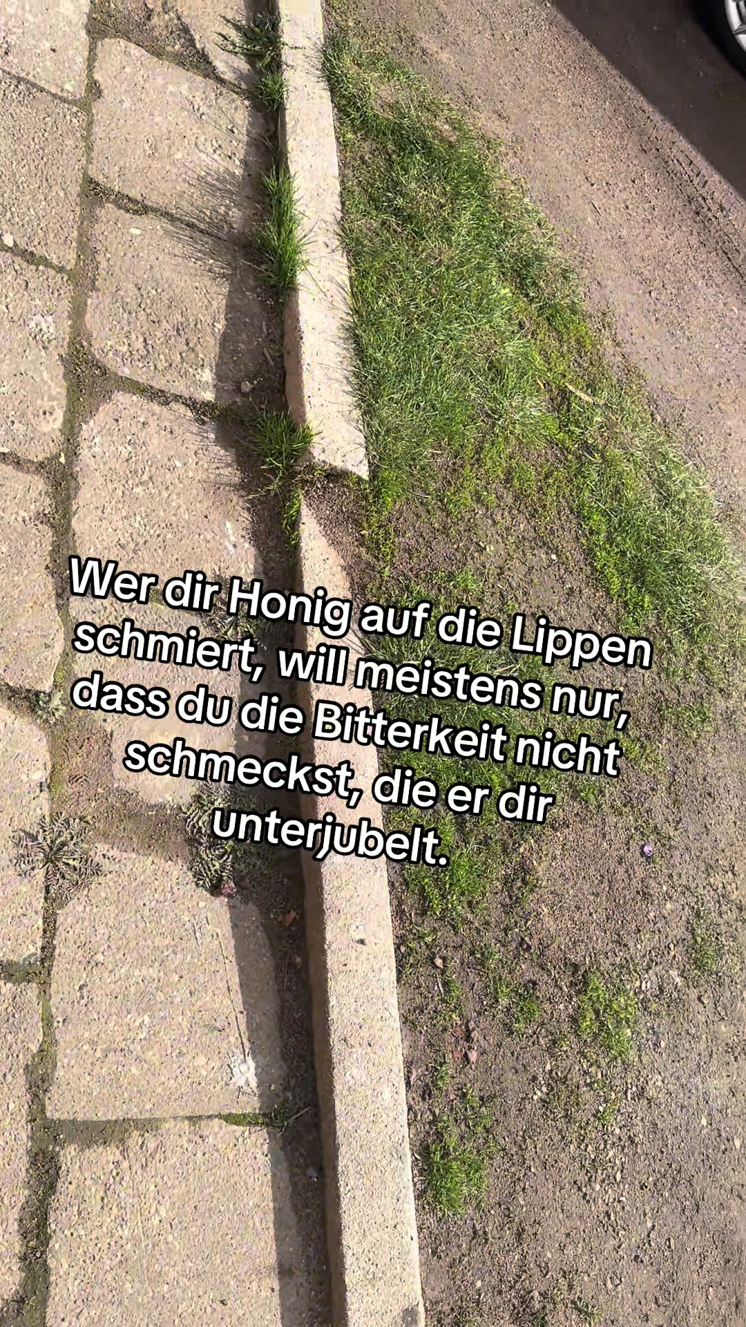 @3bvlkswgn