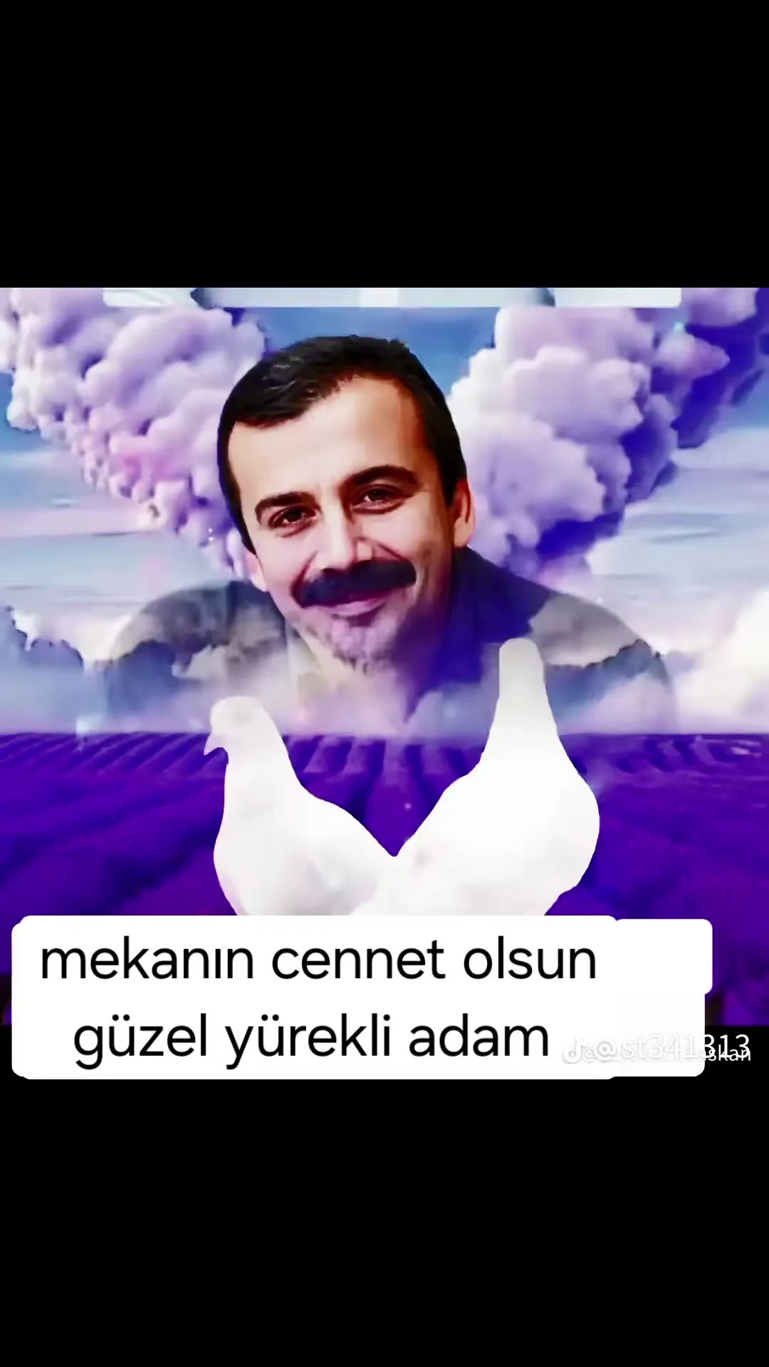 @mehmet gülçin