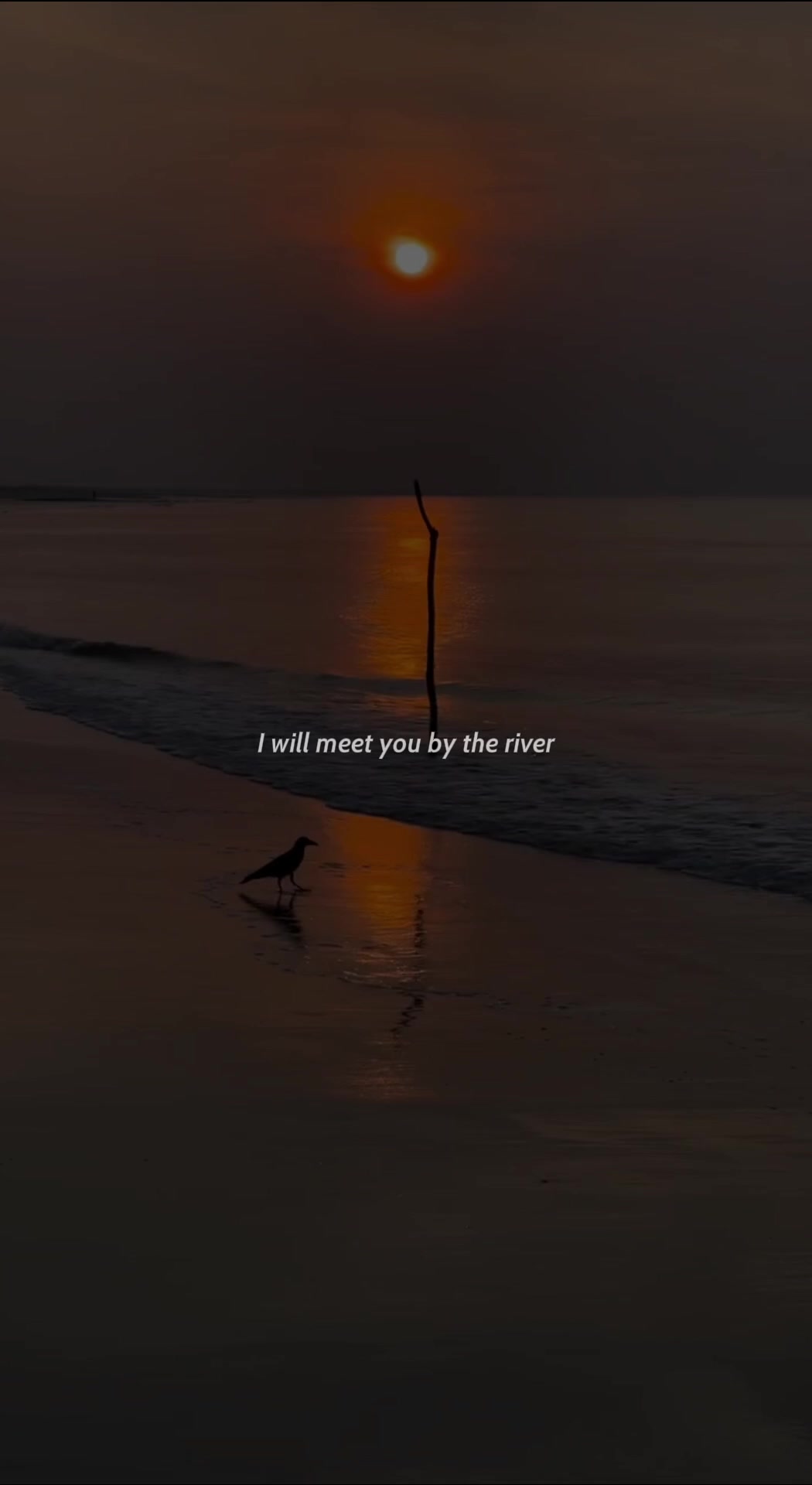 @anna.