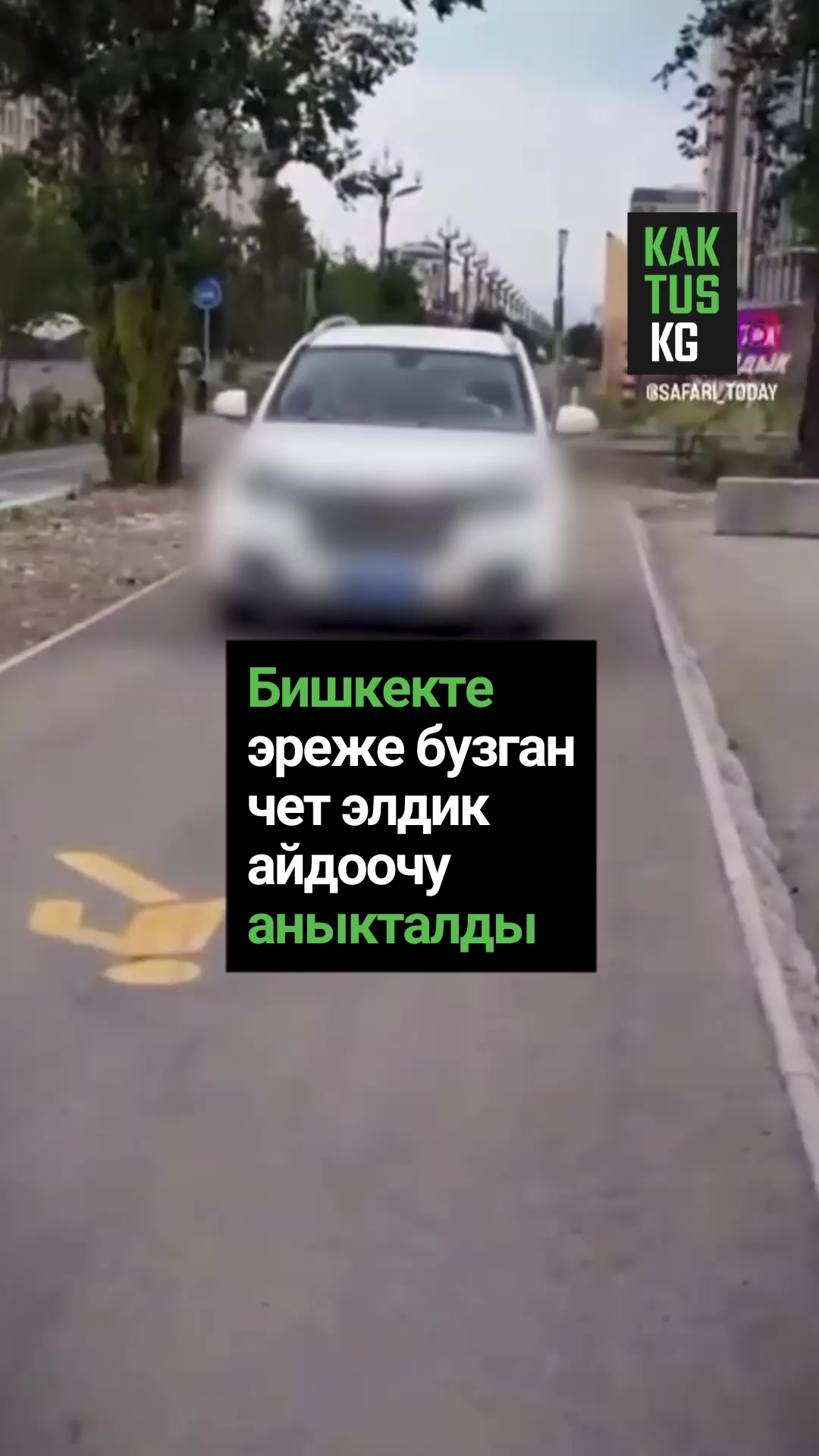 @Kaktus KG