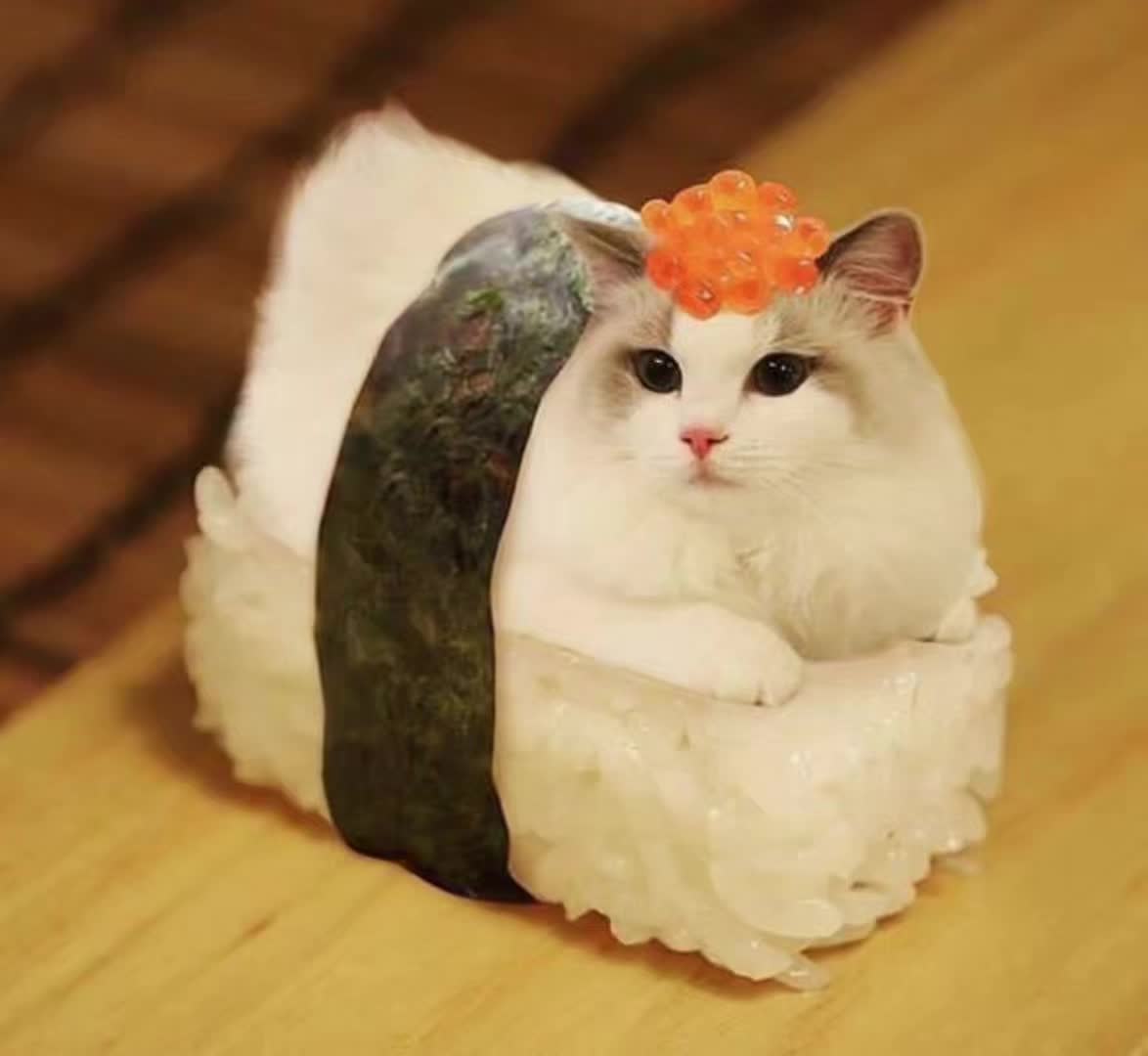 @LavanderCat