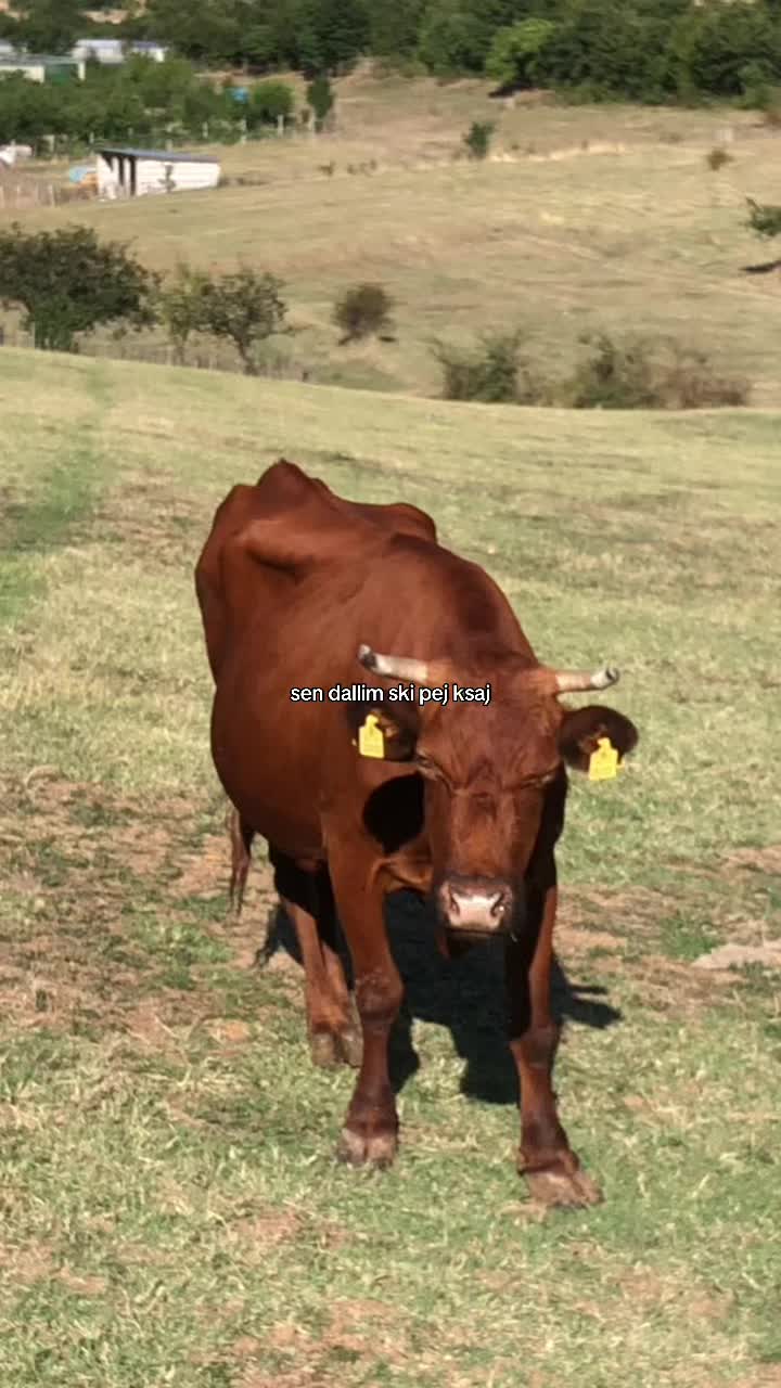 @realditty
