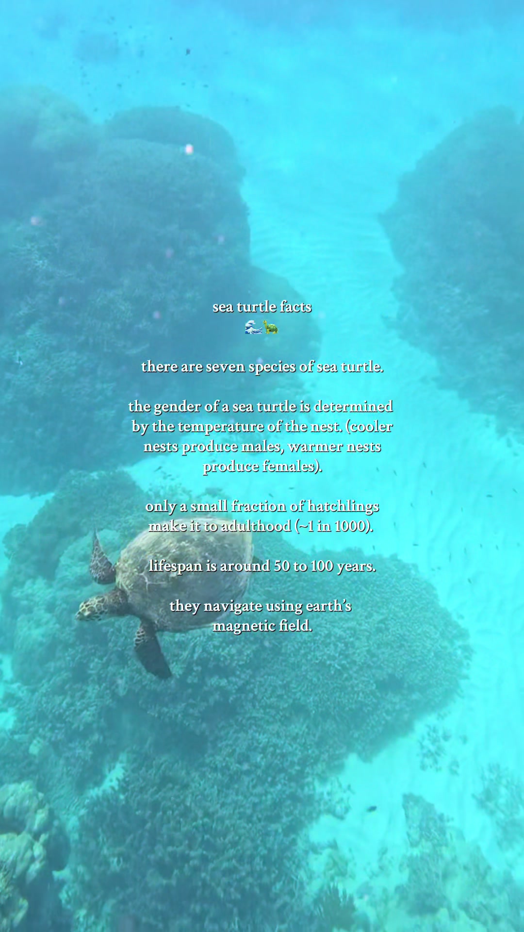 @earthly conservations 🌎🌺