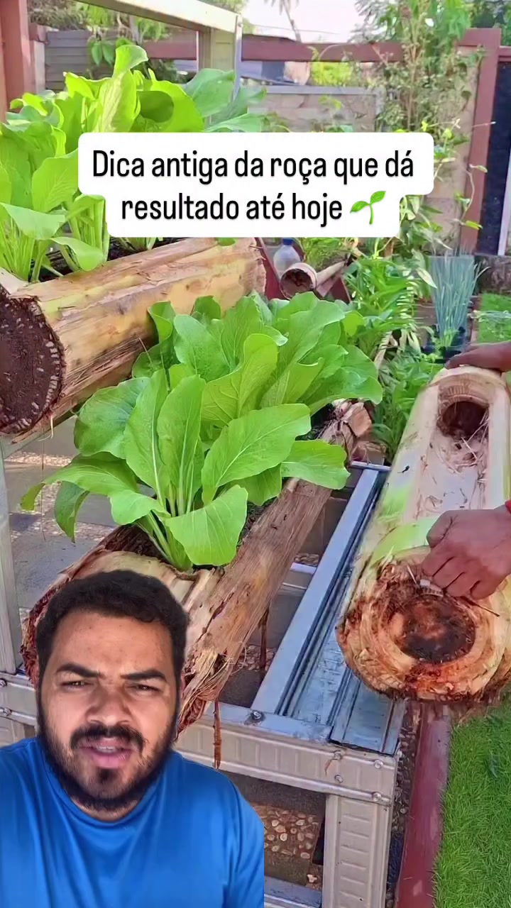 @Obrasilense