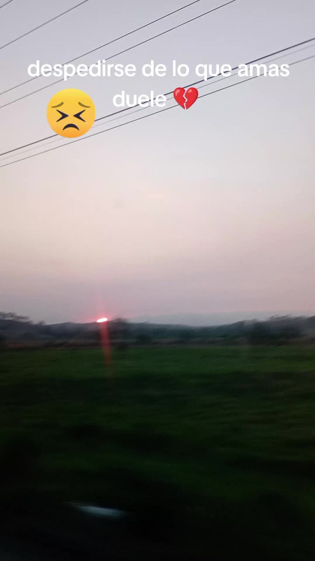 @Lili ❤️