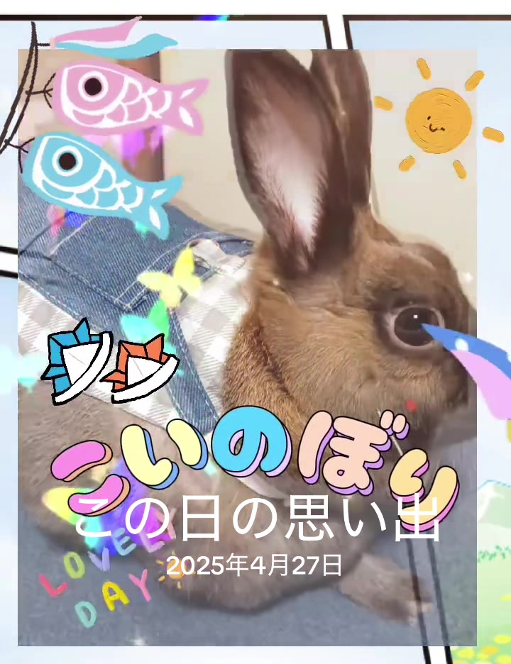 @🐖🧅ちぃ（マロン）🌰🐰🍍