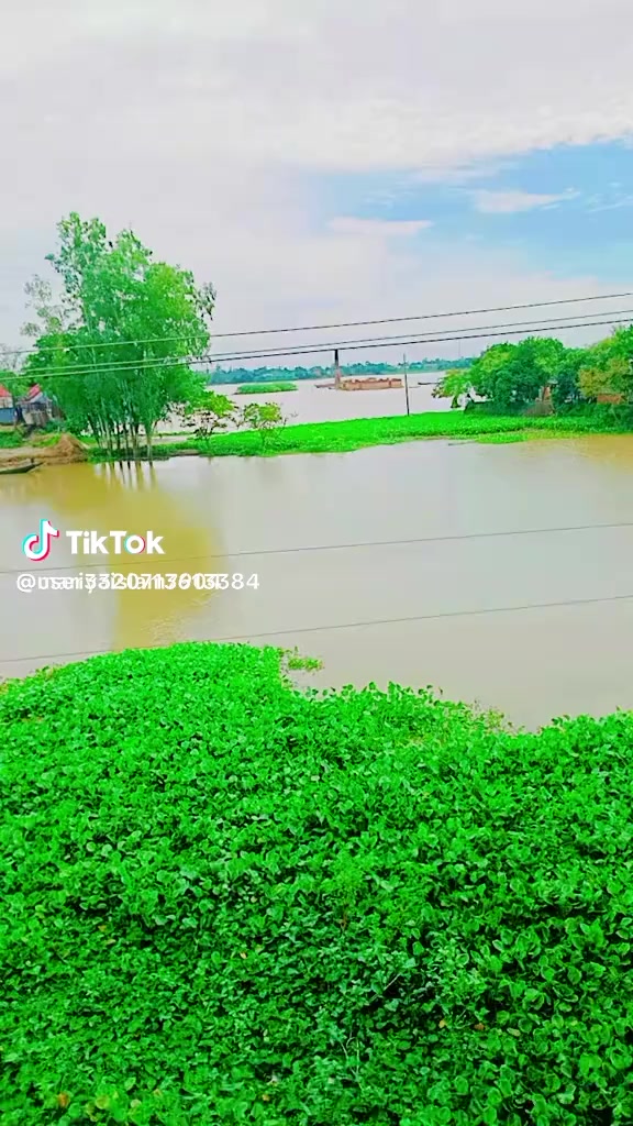 @md sakibul