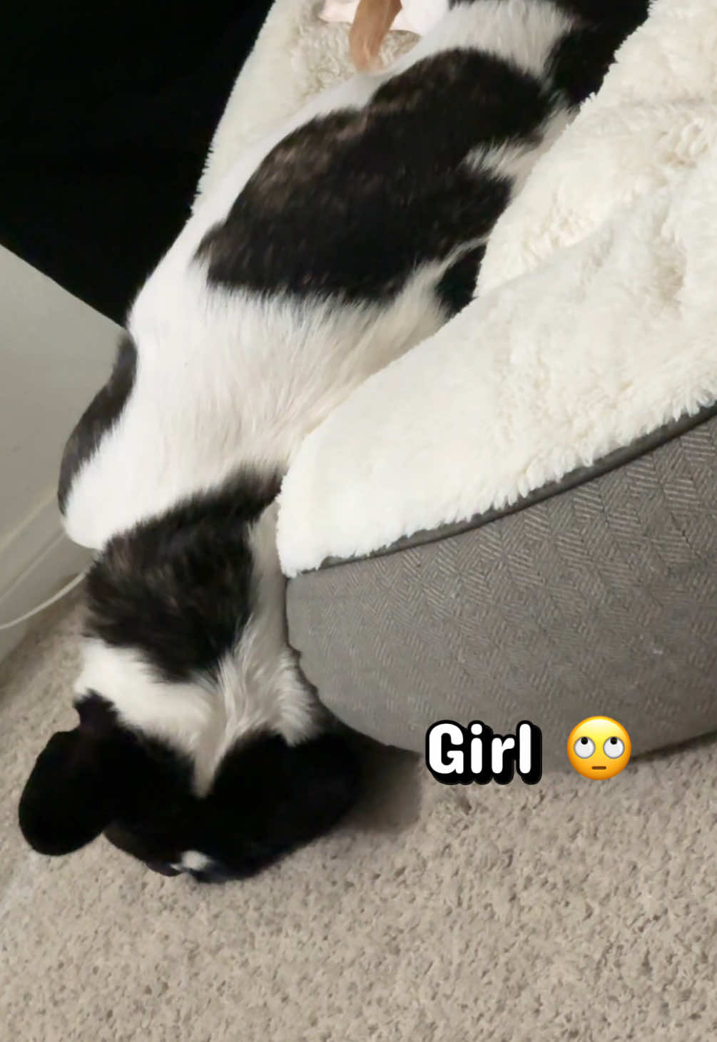 @Brigette in black