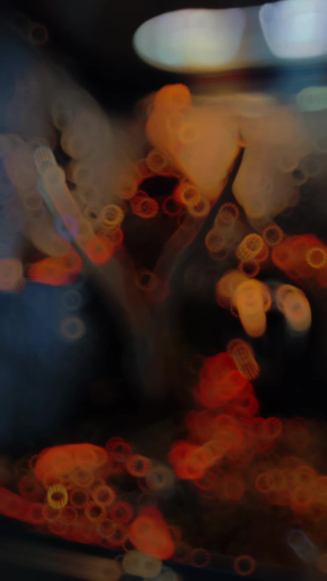 @LolosCritters 🏚️🐓