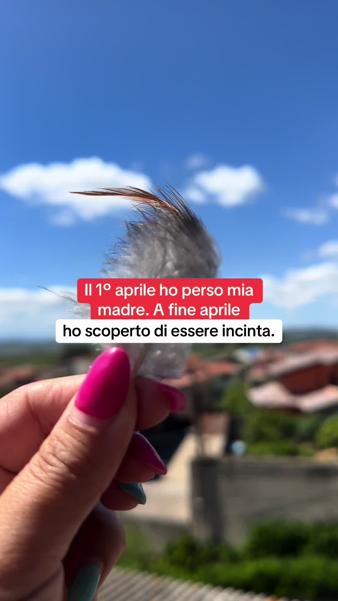 @Franci | Rivendita PDF