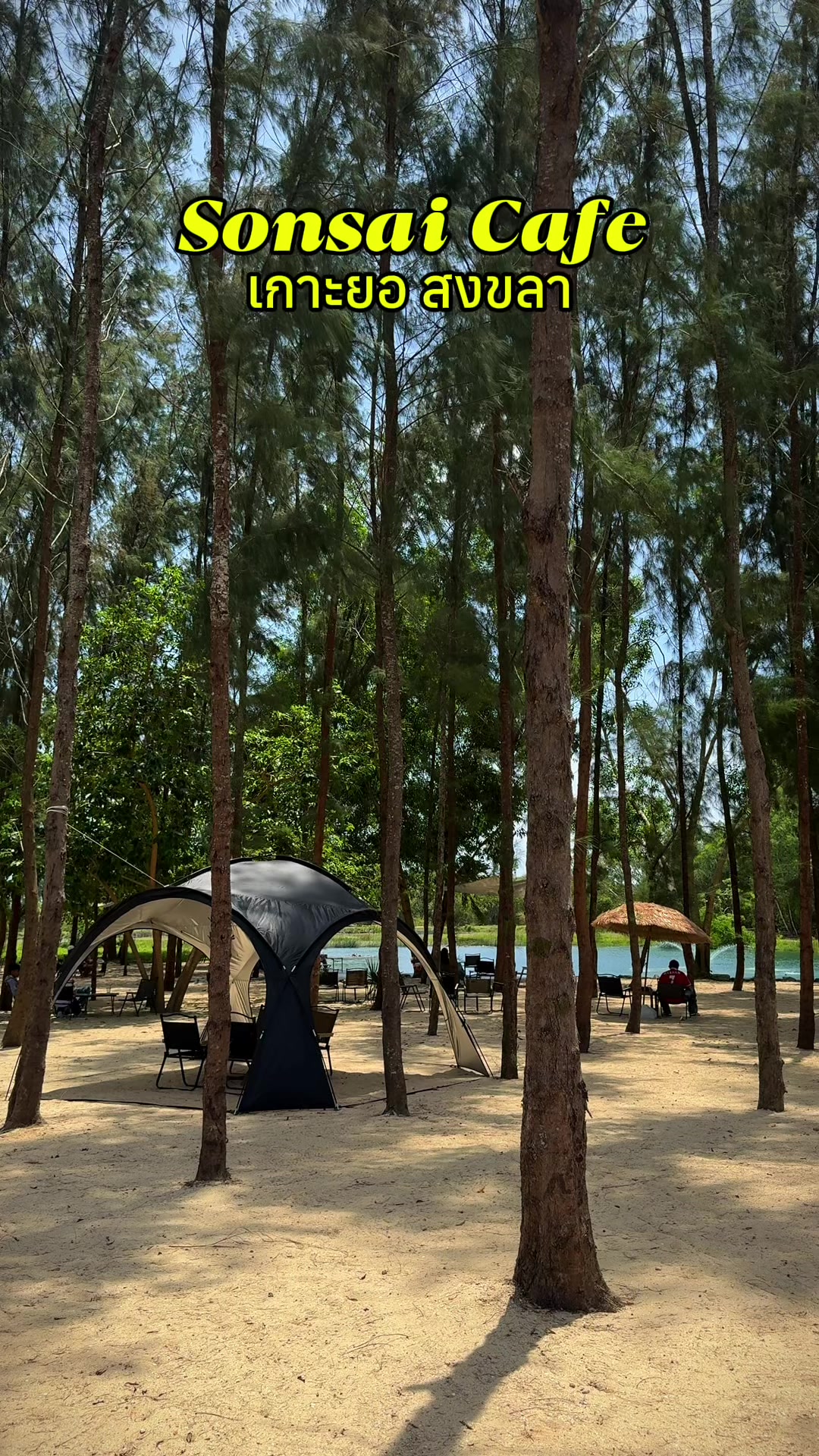 @พาไปเช็คอิน 💚