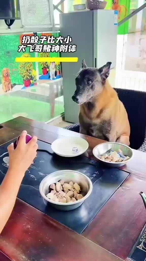 @Funny