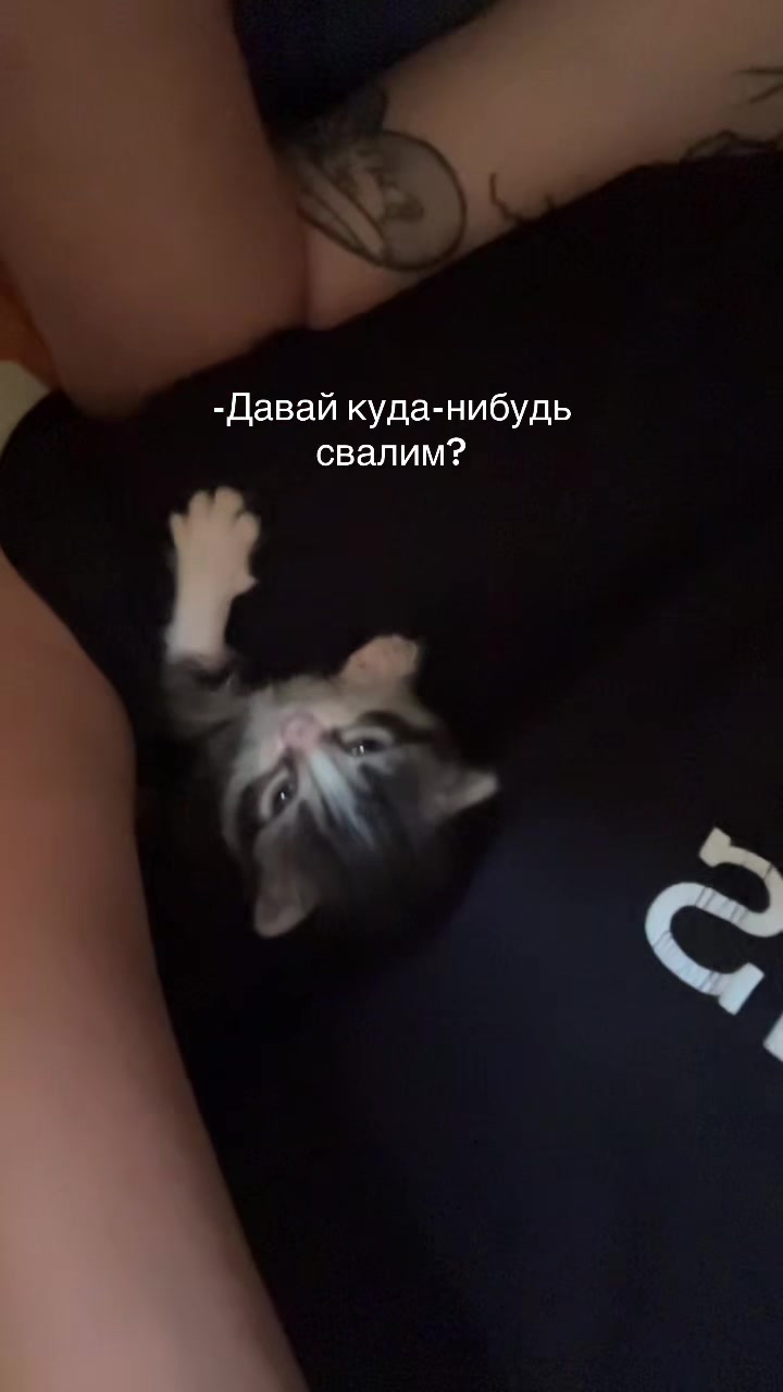 @the.dasha_