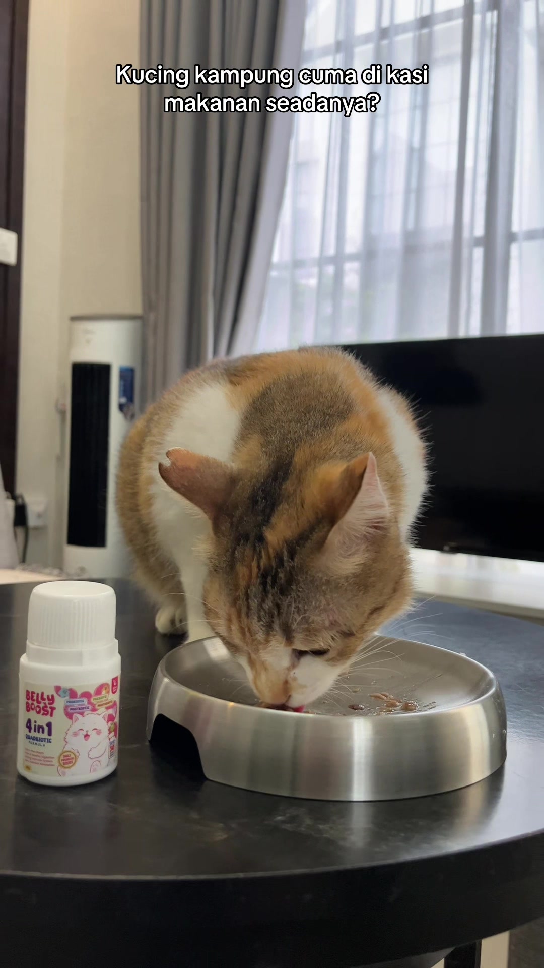 @Rapalguna | bapakkucing 🐱