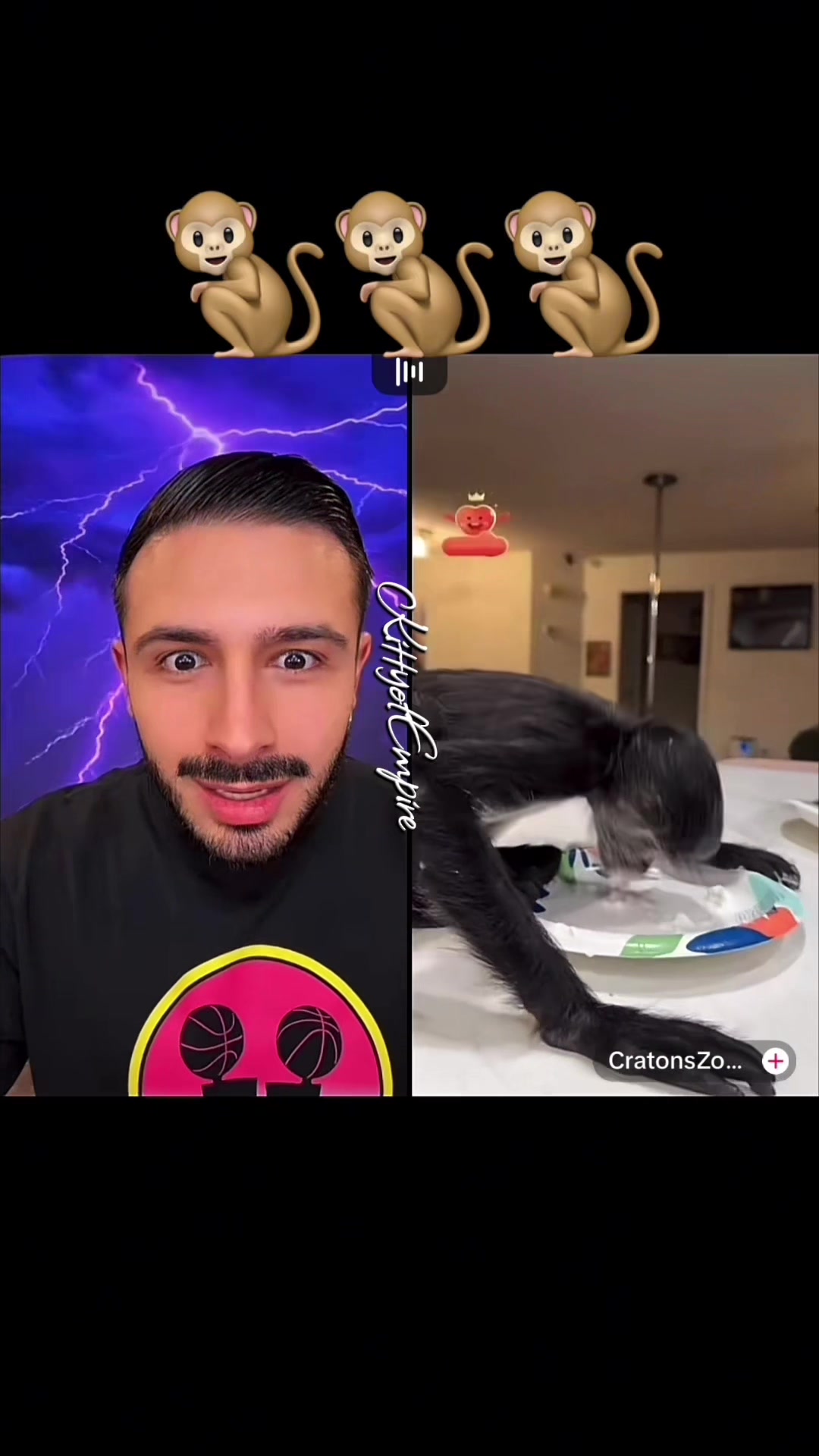 @KITTY