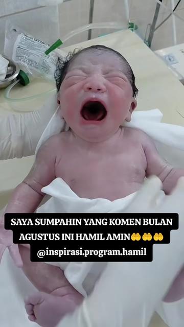 @inspirasi.program.hamil