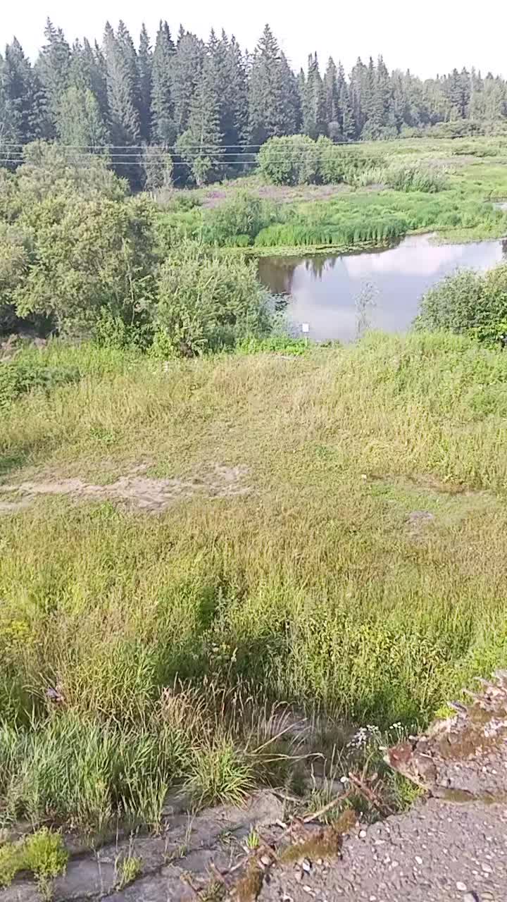 @светик