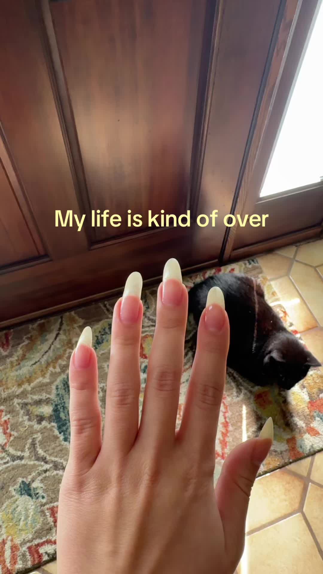 @Kitten