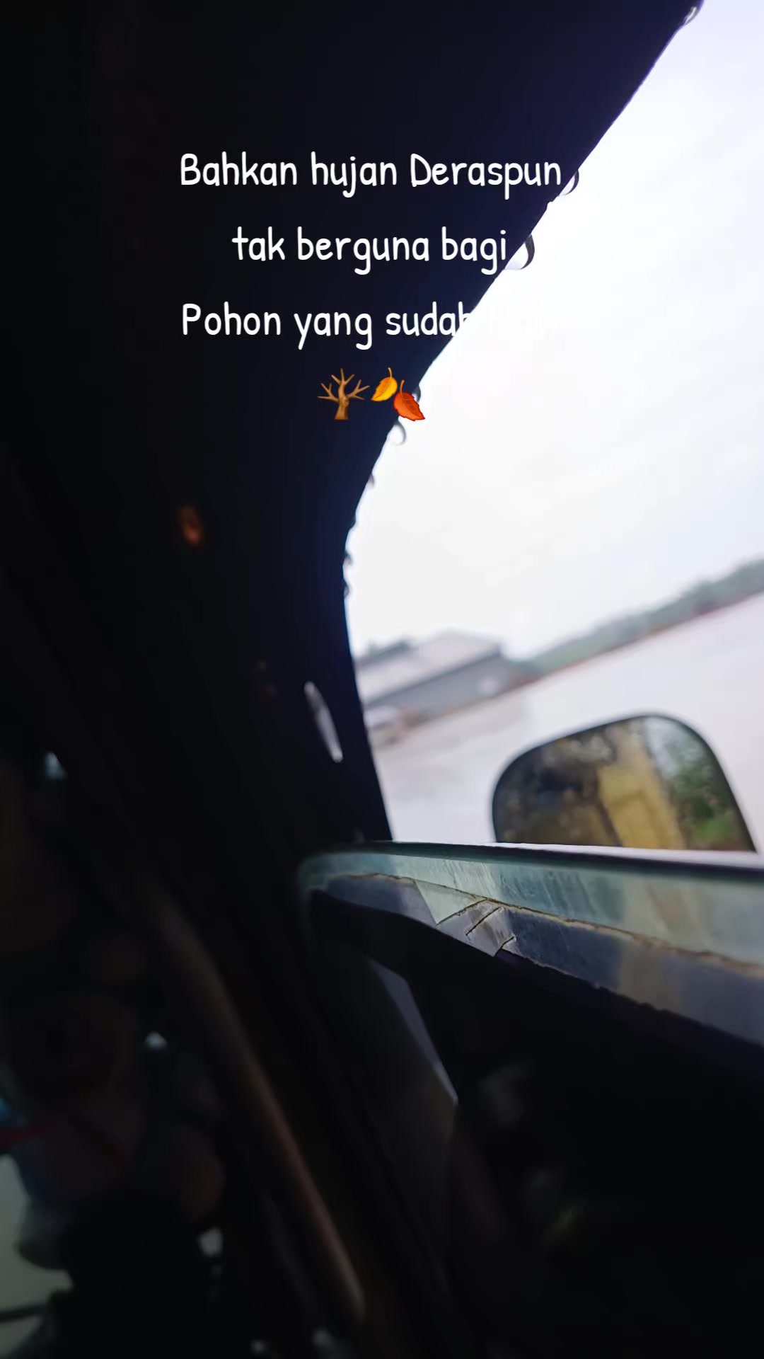 @"Shie j_