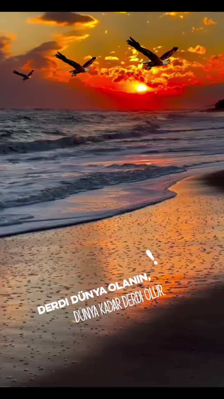 @gök baran