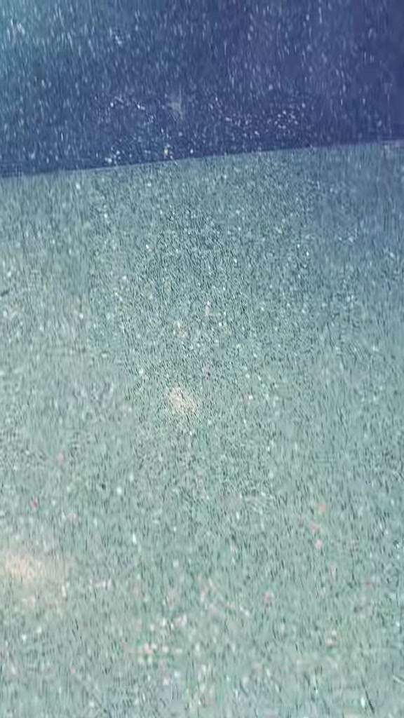@هاني الأحمد
