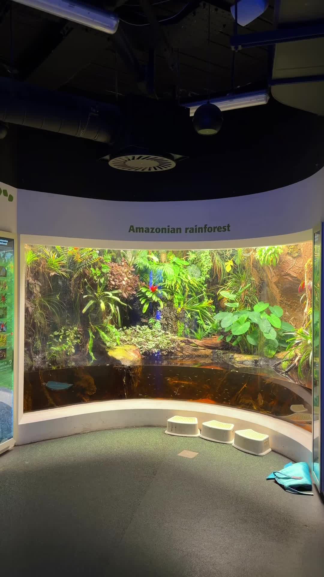 @Danny’s Aquariums