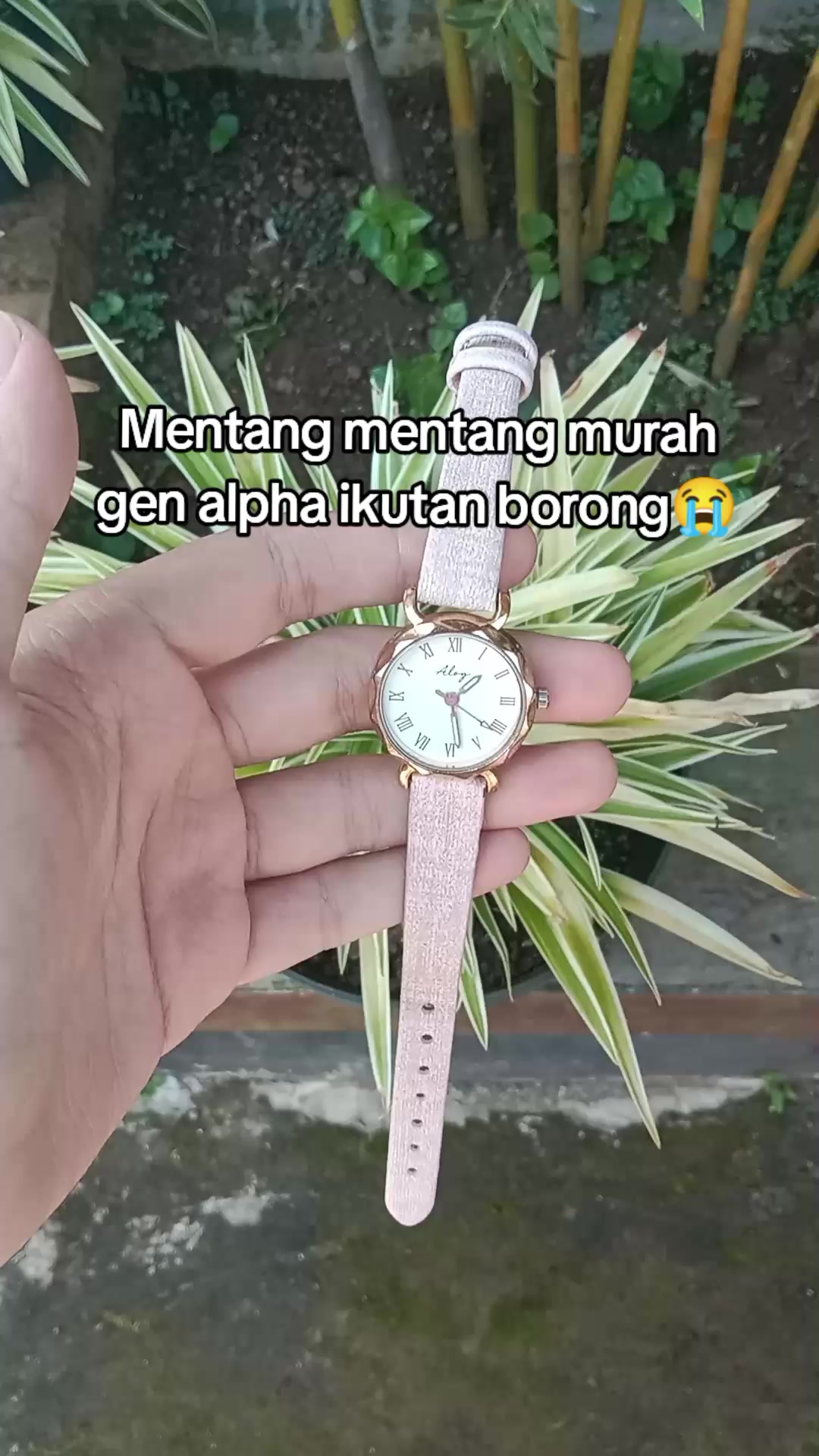 @S-tetik 🛒