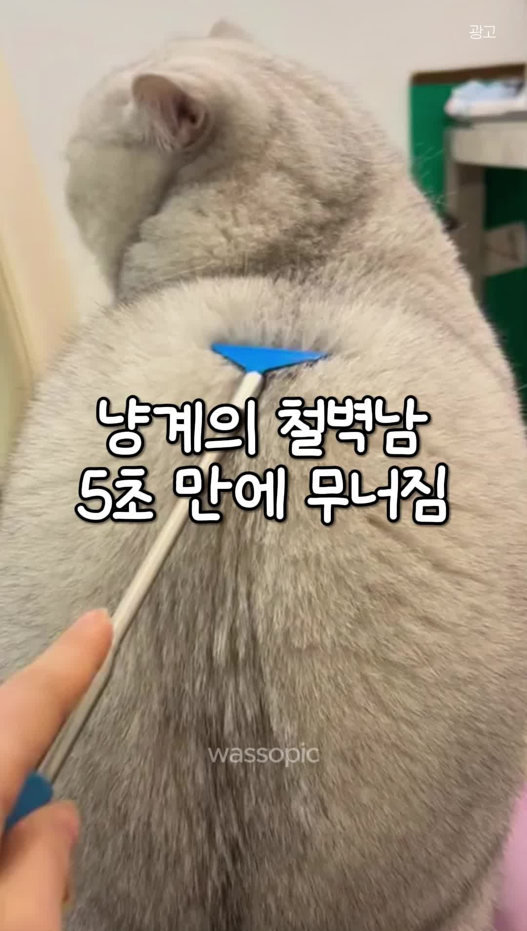 @와쏘픽