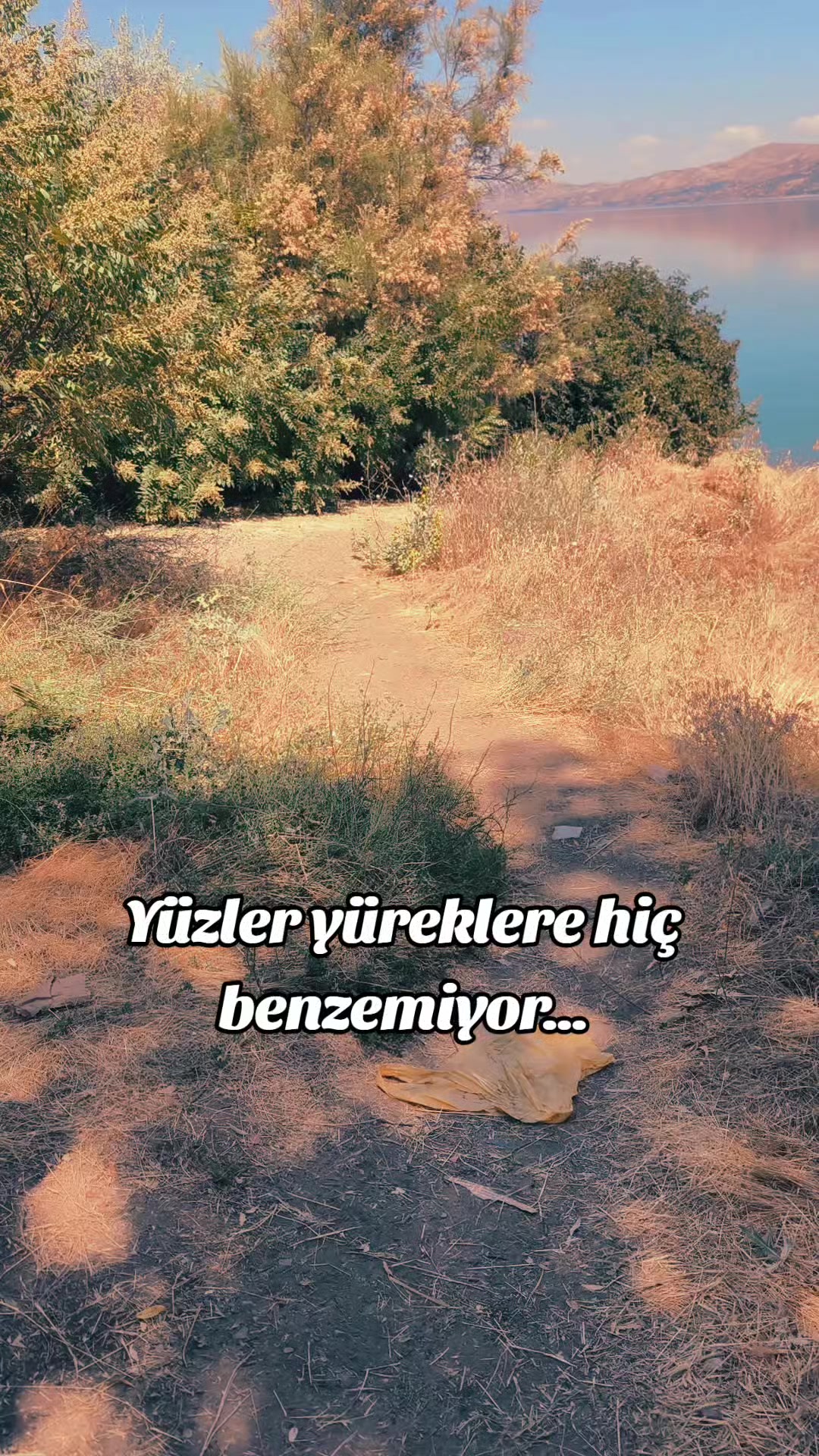 @ミ★ NeÇE🍁 ZOZAN ★彡