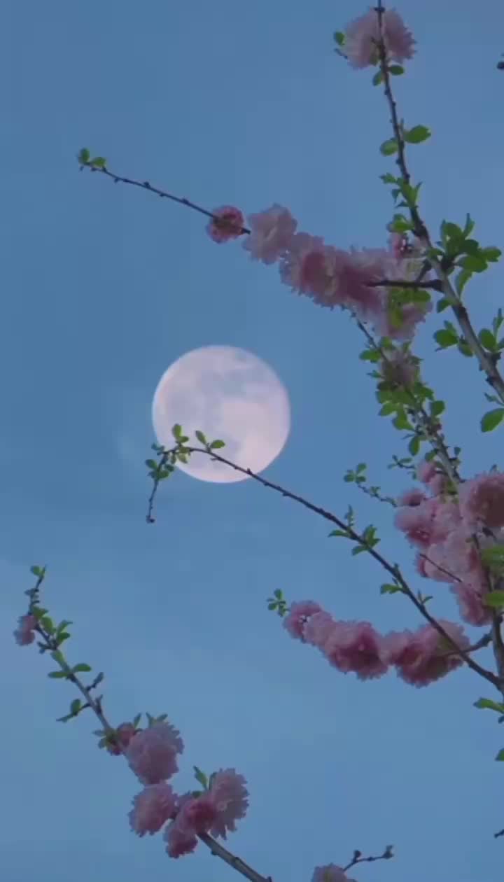@ذكريات الزمن الجميل