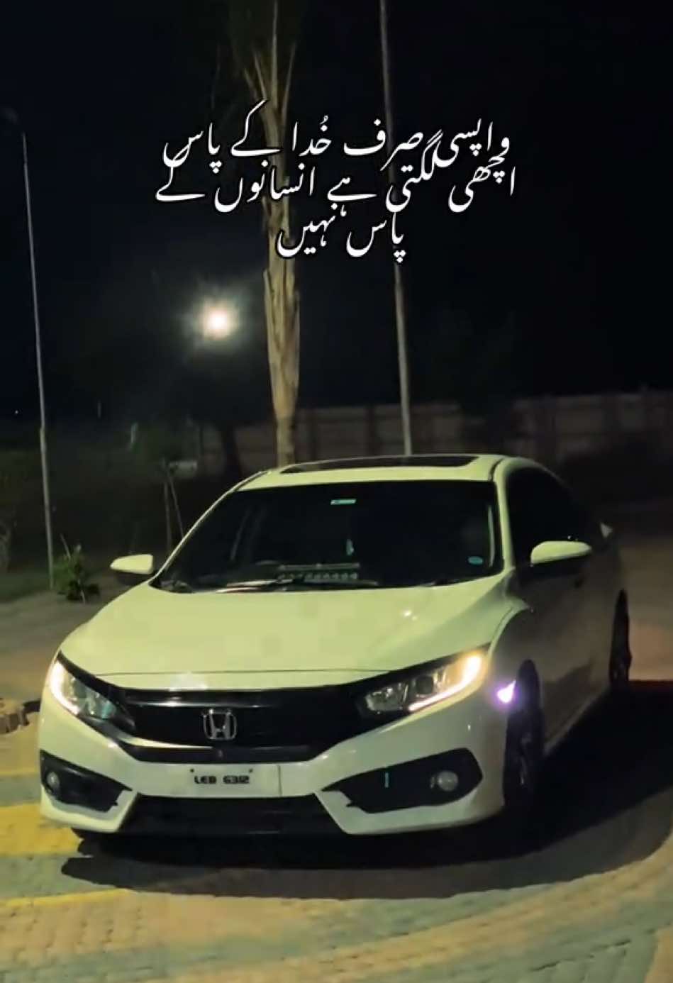 @محمد انس