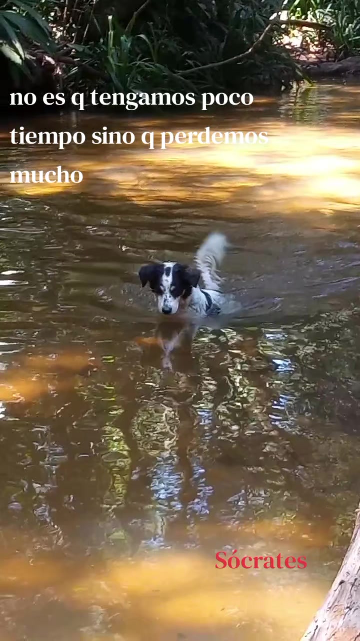 @⁴シ︎